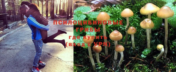 бутират Грязовец