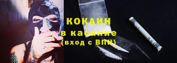 PSILOCYBIN Богородицк