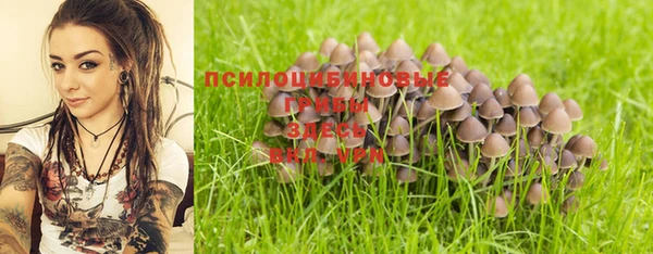 героин Богданович