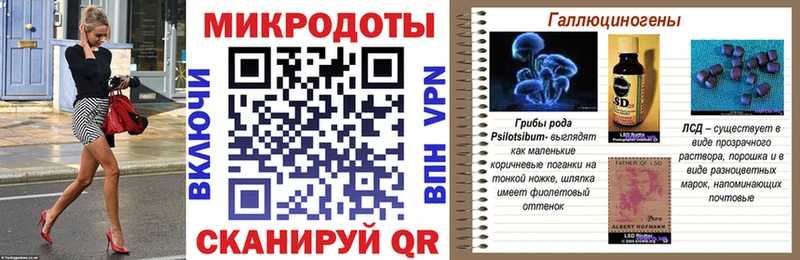 магазин Кушва Псилоцибиновые грибы Psilocybine cubensis
